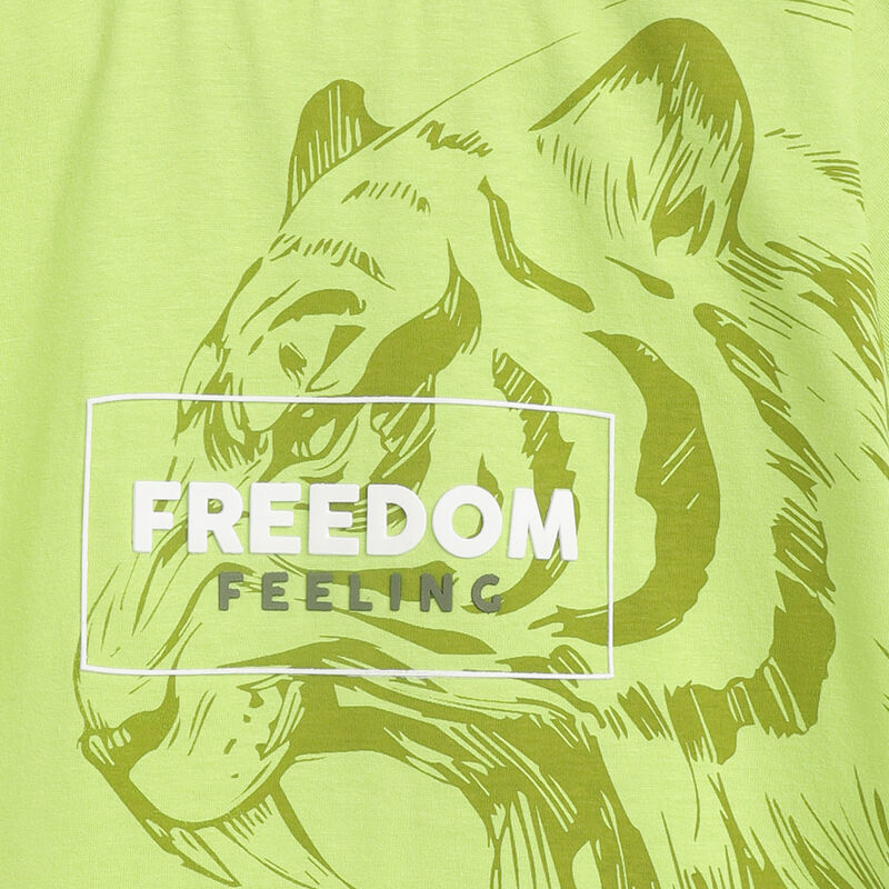 Boys Light Green Printed Short Sleeve T-Shirt image number 3